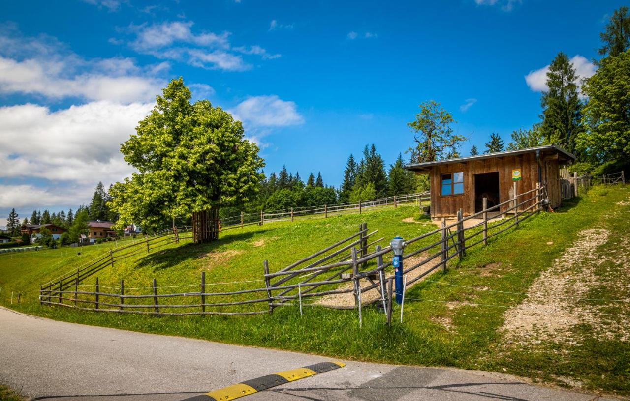 Daarhof Lejlighed Wagrain Eksteriør billede